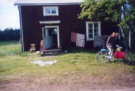 1996 (12)